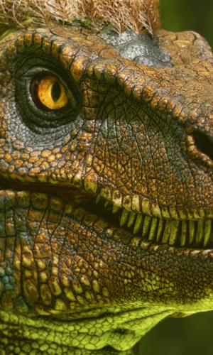 ARK: Survival Ascended 0