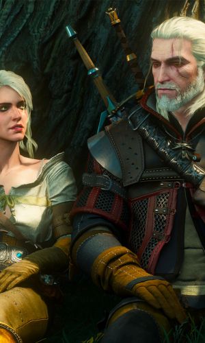 The Witcher 3: Wild Hunt 0