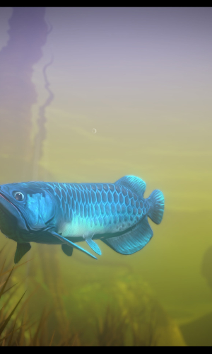 Feed and Grow: Fish 0